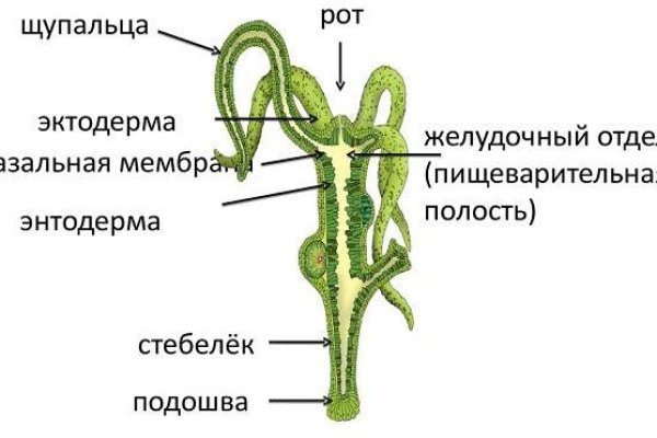 Линк кракена