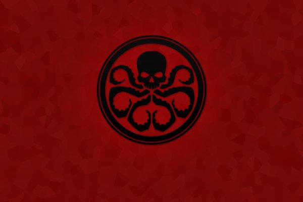 Kraken 12g