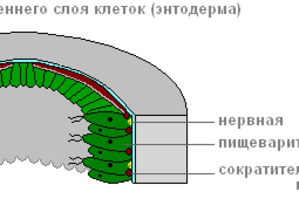 Официальная тор ссылка кракен сайта