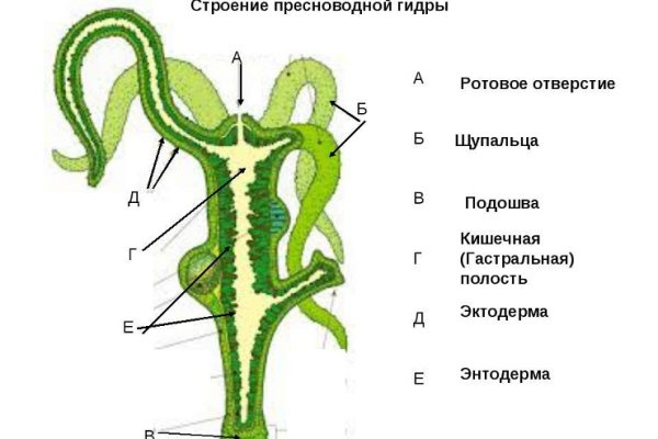 Kraken вход